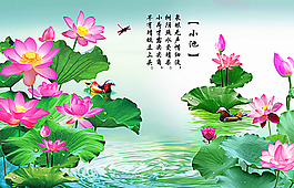 荷花图图片