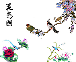 花鸟图图片