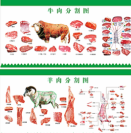 牛羊肉分割图图片