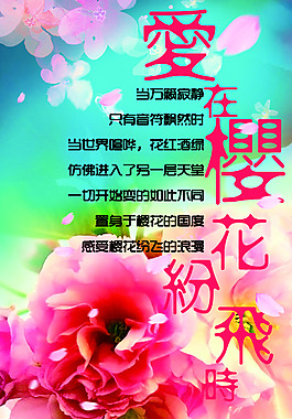 爱在樱花纷飞时
