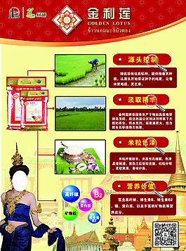 泰国香米 功能篇