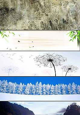 蒲公英海报背景