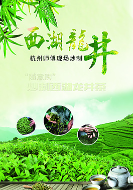 西湖龙井
