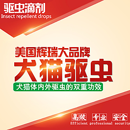 淘宝主图  直通车