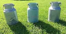 牛奶可以,农场,牛奶