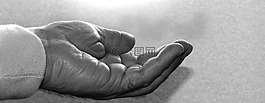 手,张开的手,给