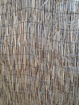 海滩,芦苇,背景