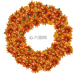 皇冠,鲜花,皇冠花