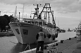 里米尼,portorimini,钓鱼