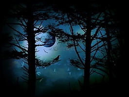 边缘的黄昏,月亮,幻想