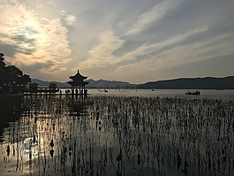 西湖,荷花,亭子