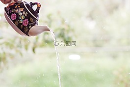 茶壶,喷,茶