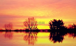 天空,镜像,橙色