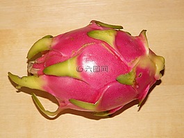 火龙果,pitahaya,火龙果monacanthus