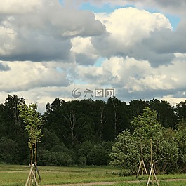 云,安东尼火山,森林