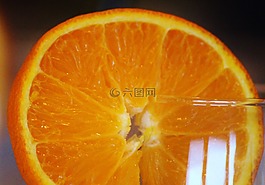 橙片,橙,鸡尾酒