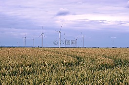 粮食,有机,自然