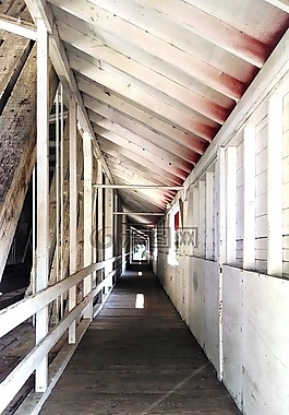 隧道,走道,行人天桥