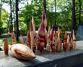 木材,形状,woodturned形状