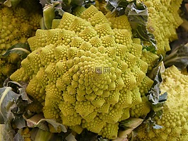 romanesco,菜花,卷心菜