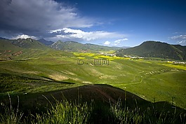 青海,风光,自然