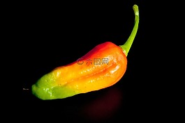 辣椒,橙,绿色