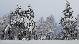 冬季,冬天风景,风景摄影