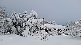 冬季,冬天风景,风景摄影