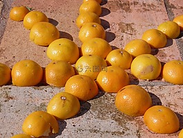 橘红色,明星,水果