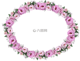 帧,边境,花的