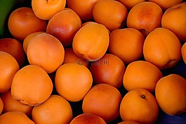 杏,水果,美味