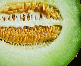 核心,瓜,哈密​​瓜