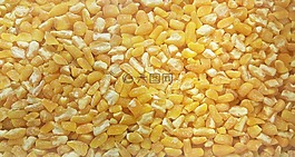 谷物,黄粒,玉米