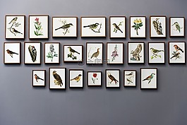 动物,古董,艺术