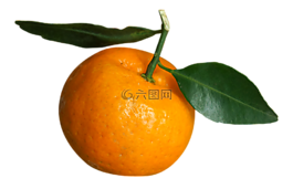 食品,水果,越南