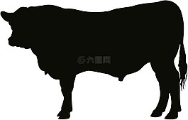 安格斯,公牛,牛