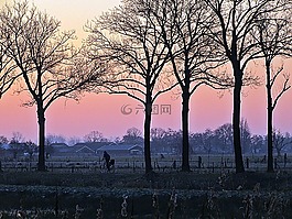 骑单车的男子,剪影,冻结