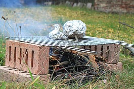 肉,金属薄片,火