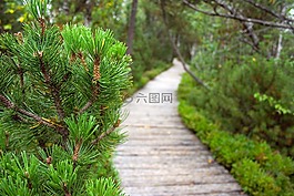 路径,泥炭,系泊