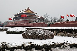 中国,帕拉斯特,结构