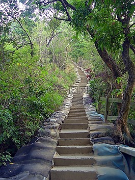 階梯,步道,綠色