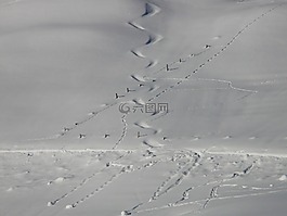 痕迹,雪,滑雪