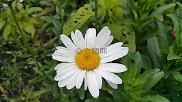 山,溴,印度尼西亚