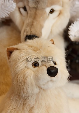 可爱的,动物,北极