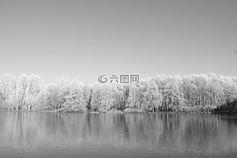 代尔门霍斯特,接枝,米利