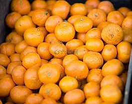 柑橘,橘子,橘