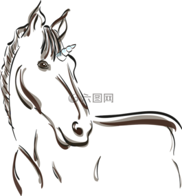 独角兽,马,神秘生物