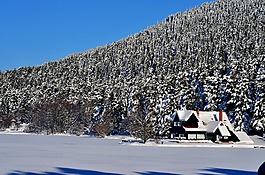 冬天,雪,雪景