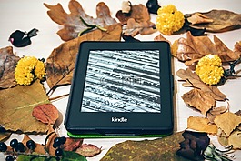 kindle,胡椒白,阅读