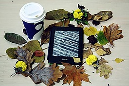 kindle,胡椒白,阅读